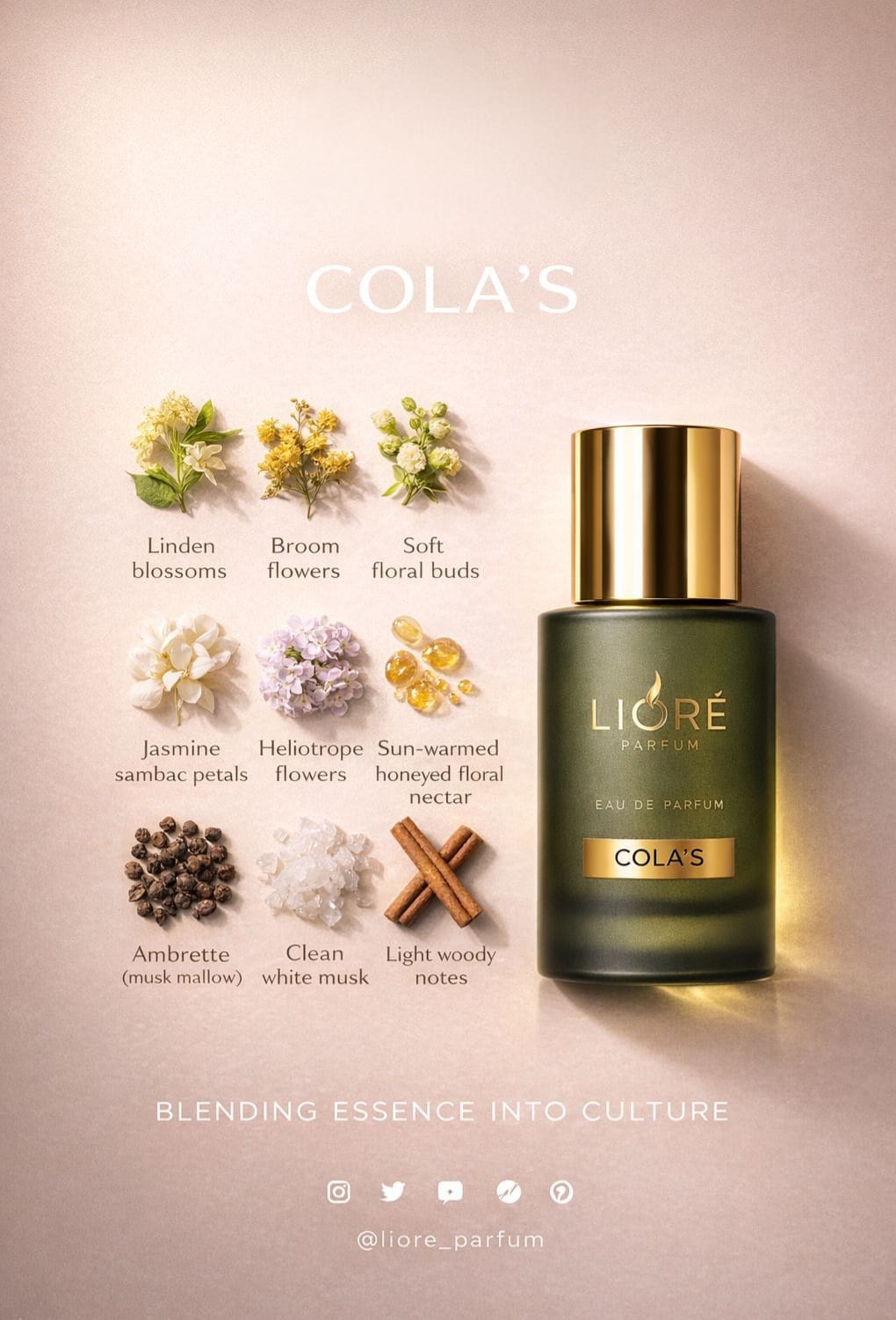 COLA'S inspired by voila gissah