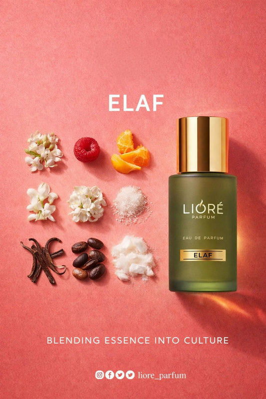 ELAF inspired by so scandal(jpg)