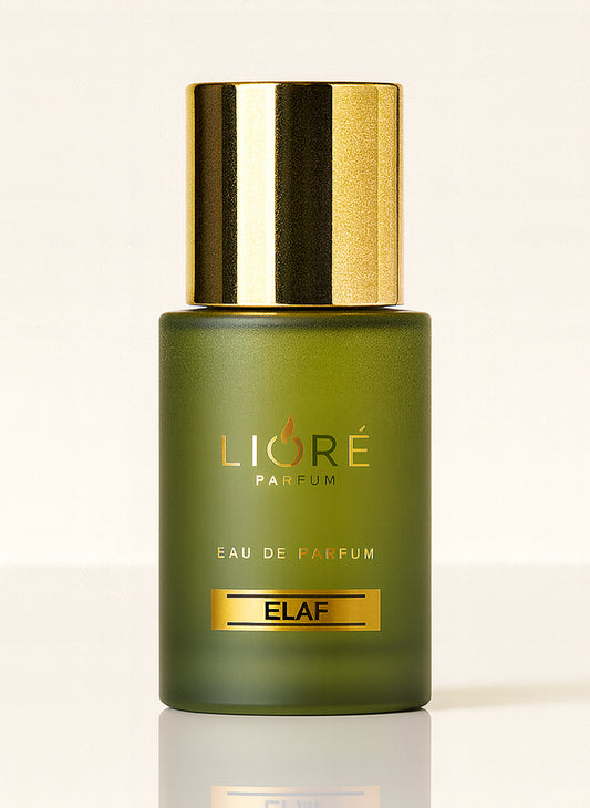 ELAF inspired by so scandal(jpg)